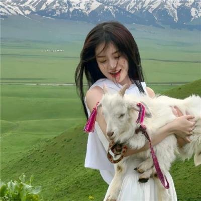 廉政行动2014粤语